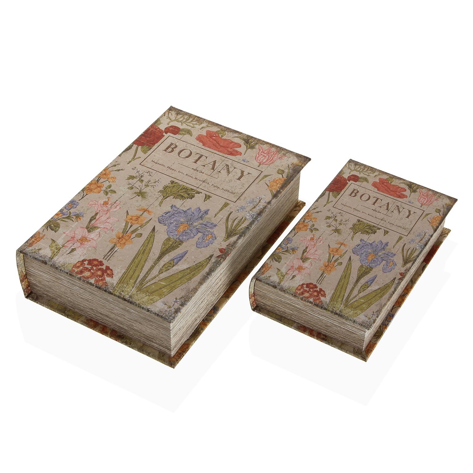 CAJA LIBRO BOTANY 2 TAMAÑOS VERSA - Imagen 2