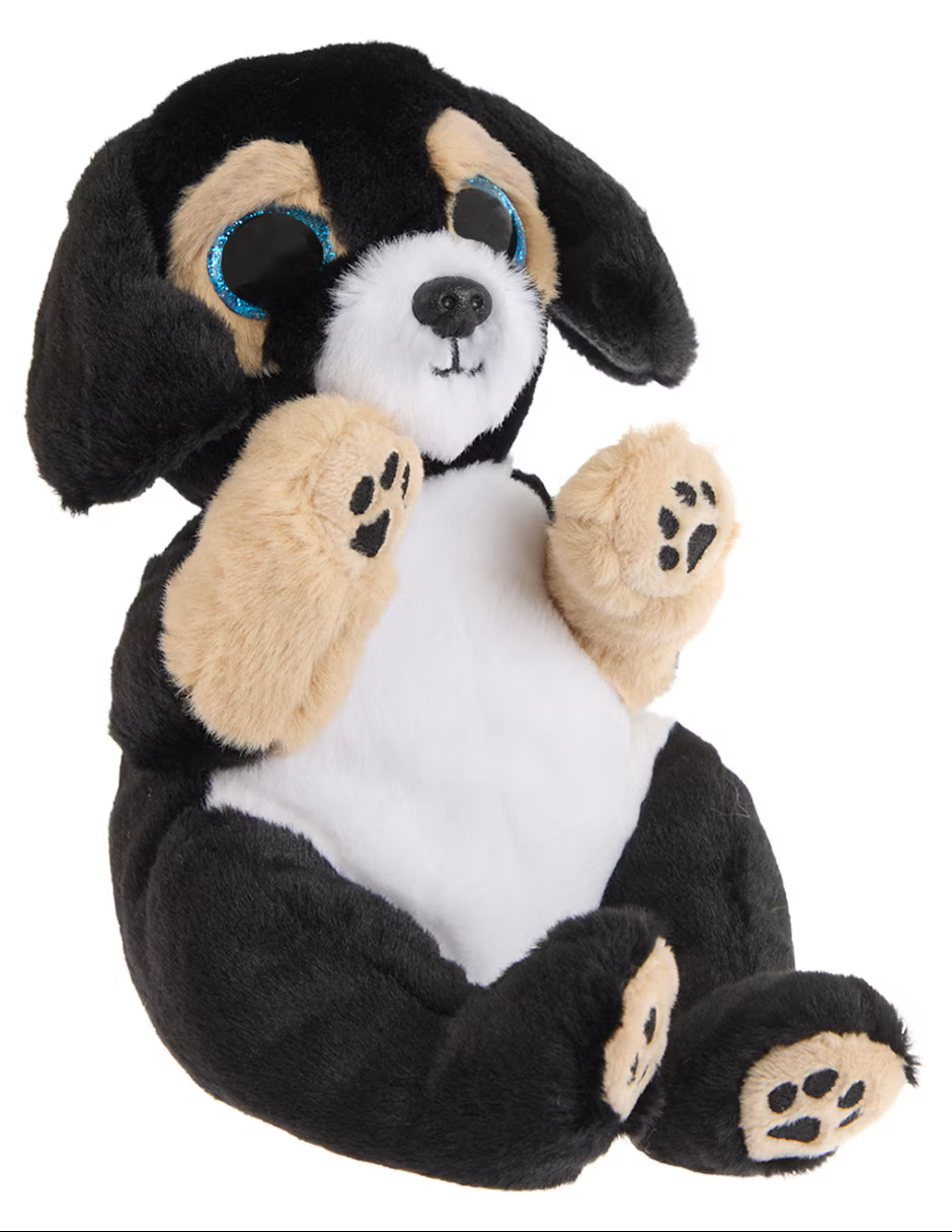 PELUCHE TY BEANIE BELLIES RANGER 15CM