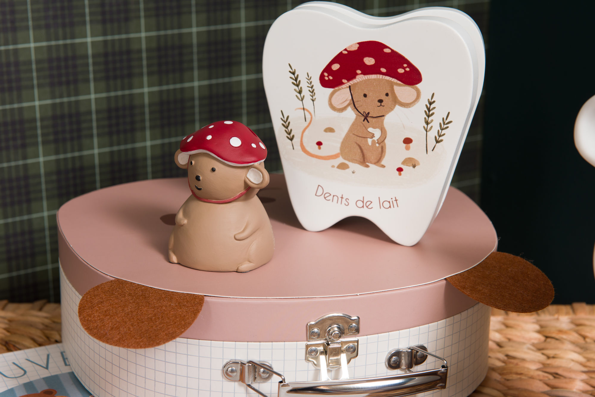 Caja de Dientes GASTON
